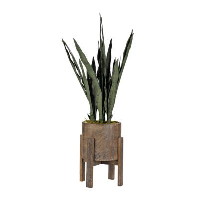 Sansevieria Plant in Cooper Planter - 318906