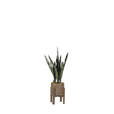 Mother-in-Law's Tongue Plant in Cooper Planter - 318906