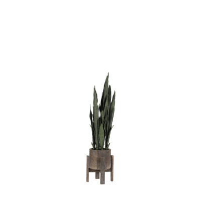 Mother-in-Law's Tongue in Cooper Planter 4' - 318907