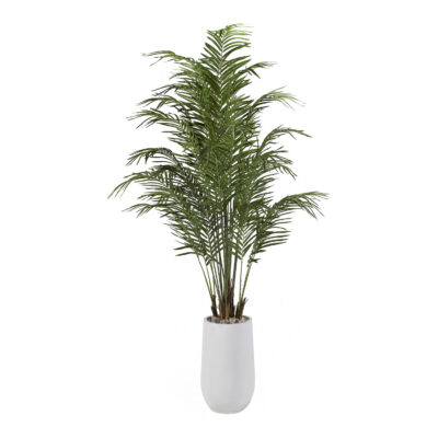 Areca Palm Tree in Quinn Planter 8' - 318909