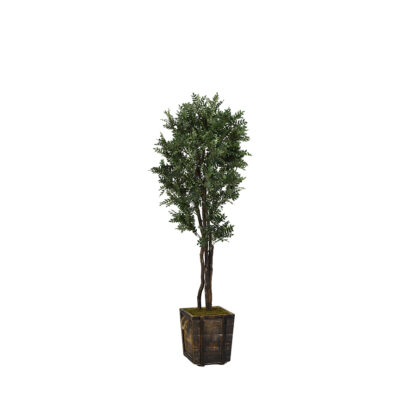 Locust Tree in Rustic Wood Planter 7' - 318910