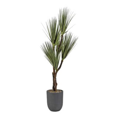 Onion Grass Tree in Campbell Planter 7' - 318911