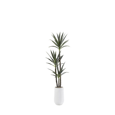 Yucca Tree in Quinn Planter 6' - 318913