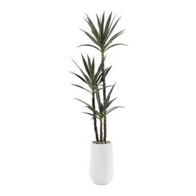 Yucca Tree in Quinn Planter 6' - 318913