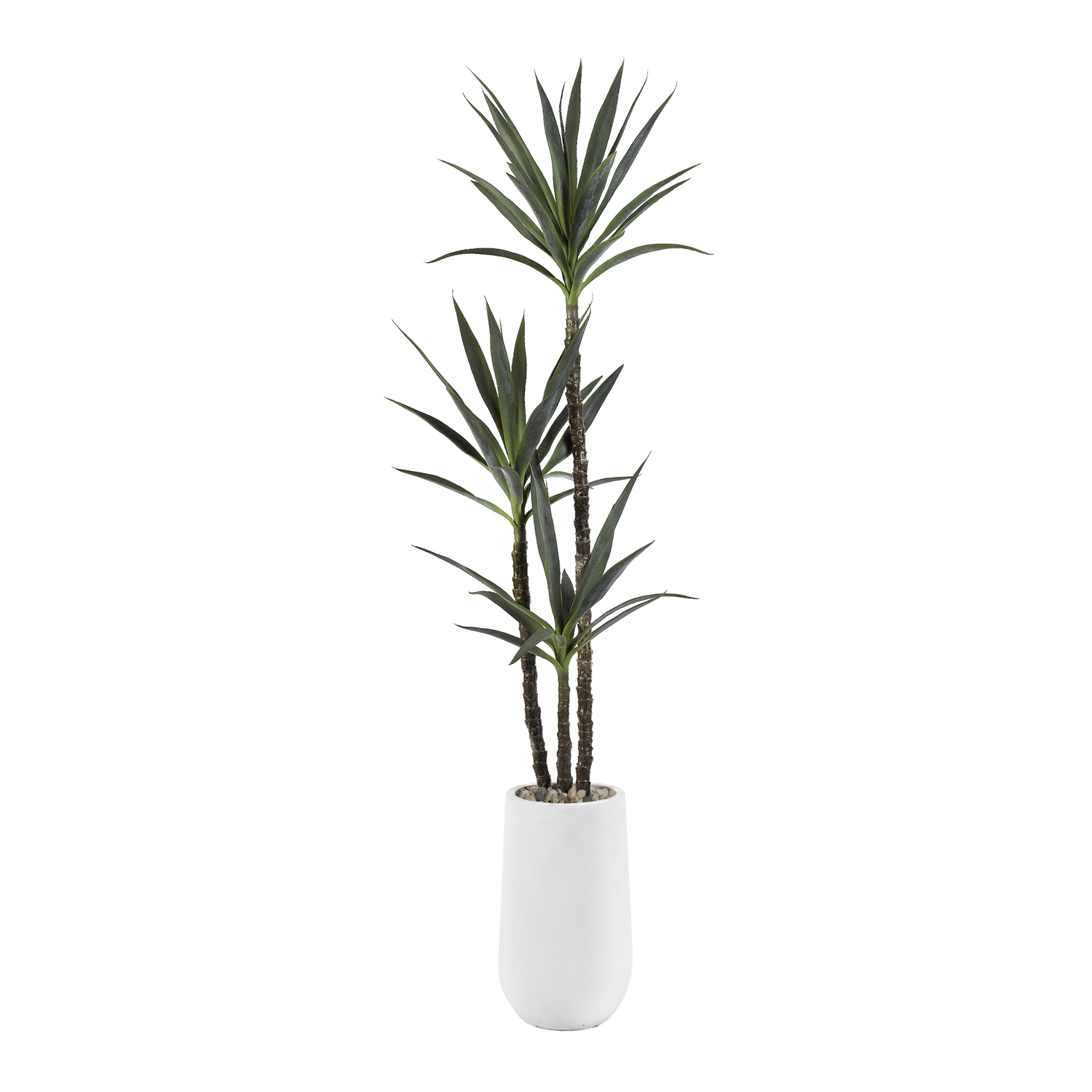 Yucca Tree in Quinn Planter 6' - 318913