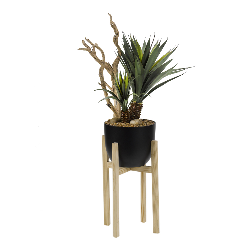 Yucca Plant with Ghostwood in Small Black Catalina Planter with Wood Stand - 318916