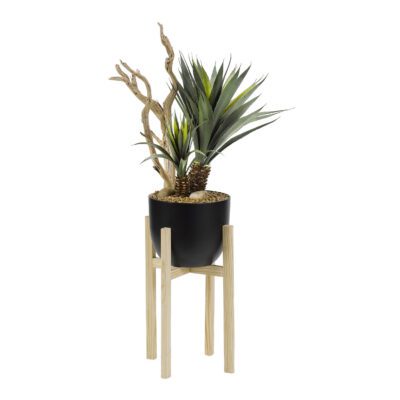 Yucca Plant & Ghostwood in Catalina Planter - 318916