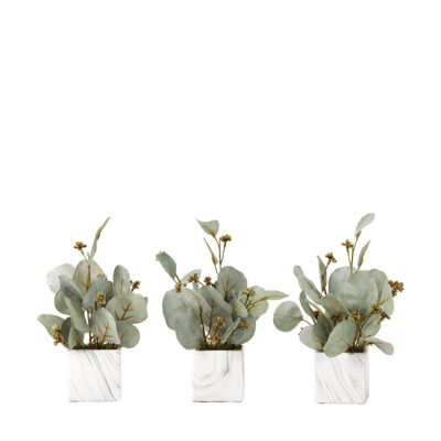 Seeded Eucalyptus Branches in Marbled Ceramic Cube - set of 3 - 191011