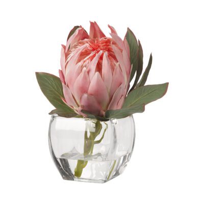 Pink Queen Protea in Bevel Vase - 191013