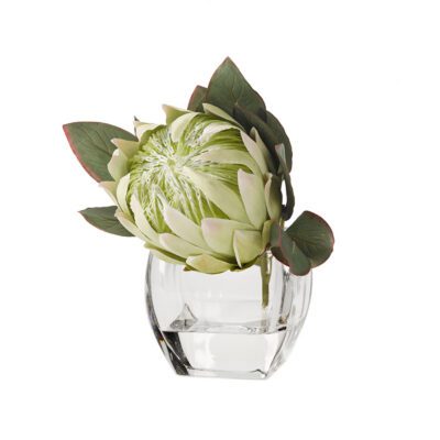 White Queen Protea in Bevel Vase - 191014