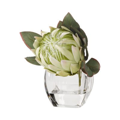 White Queen Protea in Bevel Vase - 191014