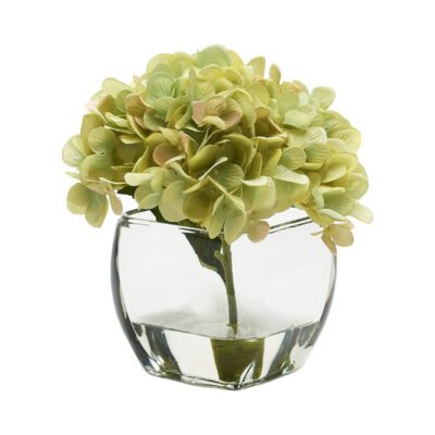 Pale Green Hydrangea in Bevel Vase - 191015