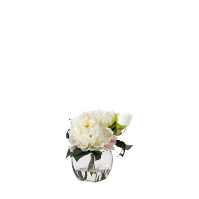 Cream Peonies in Bevel Vase - 191017