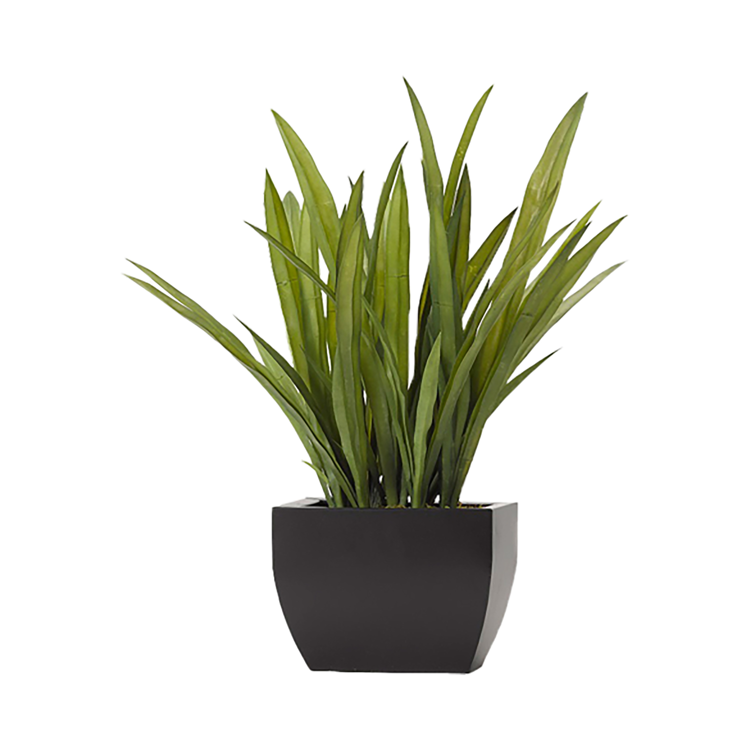 Tall Orchid Foliage in Rectangle Metal Planter - 191020