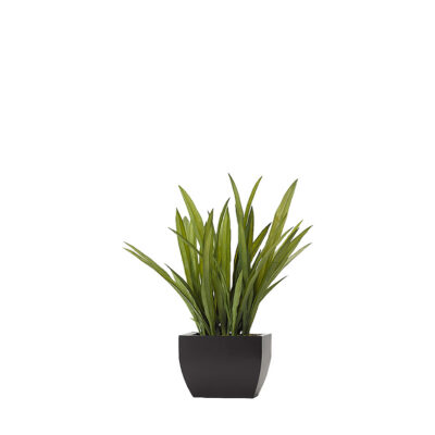 Tall Orchid Foliage in Rectangle Metal Planter - 191020