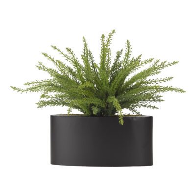 Heather Fern in Smith Planter - 191022