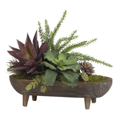 Leather Fern, Aloe & Echeveria in Dough Bowl - 191053