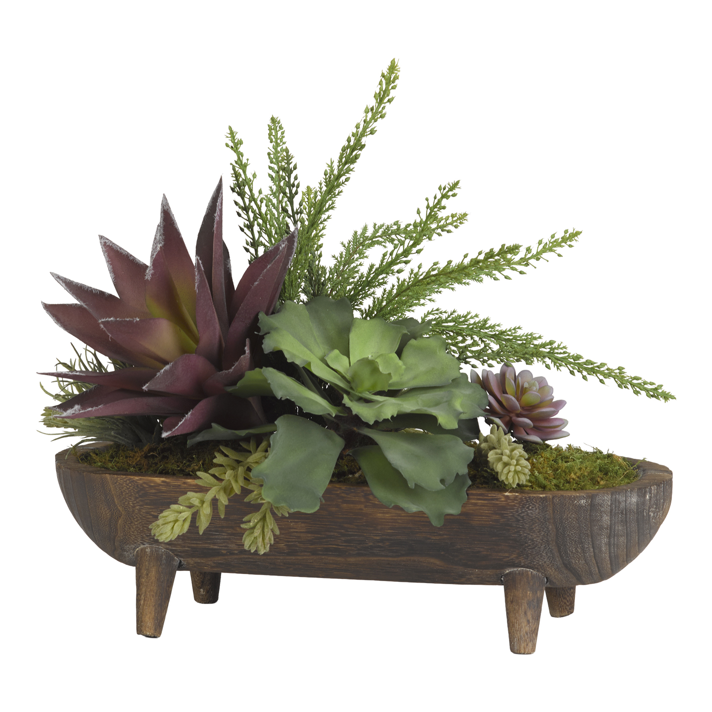 Leather Fern, Aloe & Echeveria in Dough Bowl - 191053