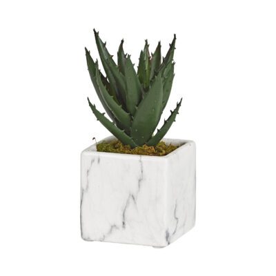 Mini Aloe Plant in White Marble Ceramic Cube - 191055