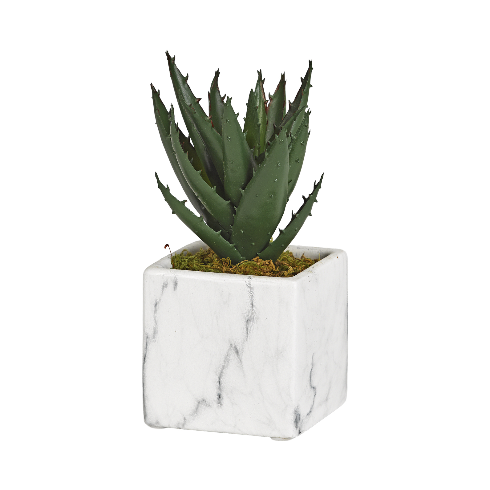 Mini Aloe Plant in White Marble Ceramic Cube - 191055