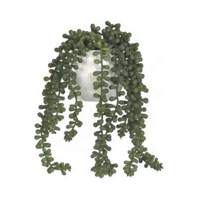 Sedum Spray in Large Cove Vase - 191061