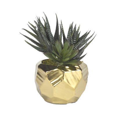 Mini Aloe Plants in Small Gold Flintstone Planter - 191066