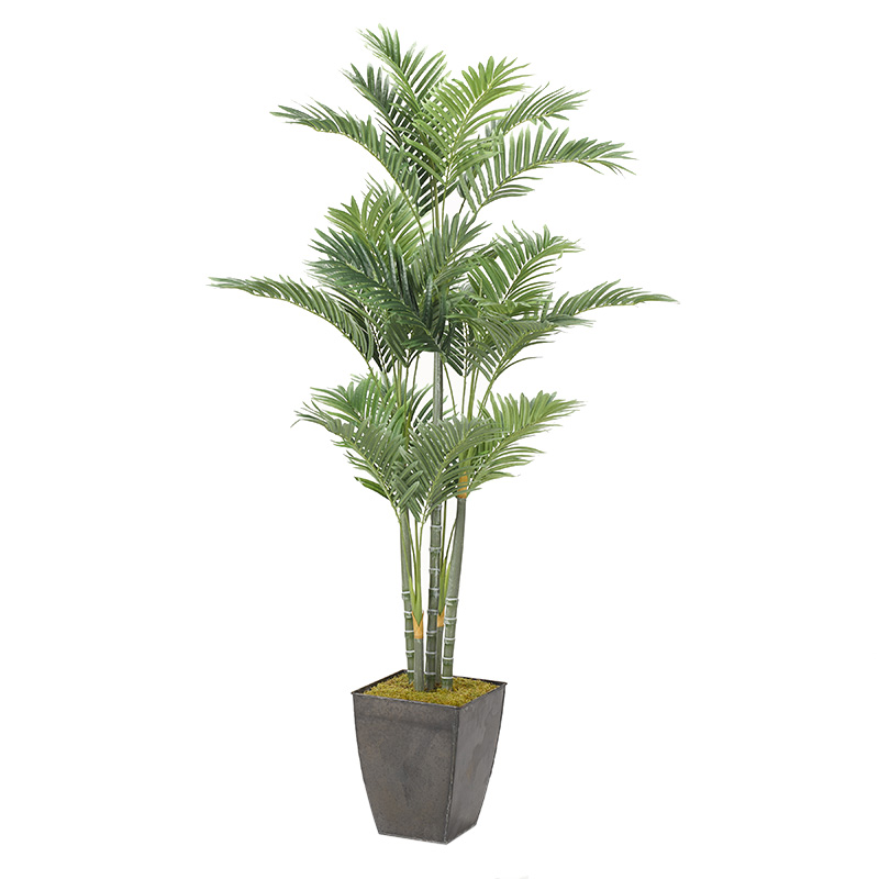66" Golden Palm Tree in Small Black Cardinal Planter - 319105