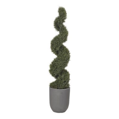 Spiral Rosemary Topiary in Medium Campbell Planter 6' - 319108