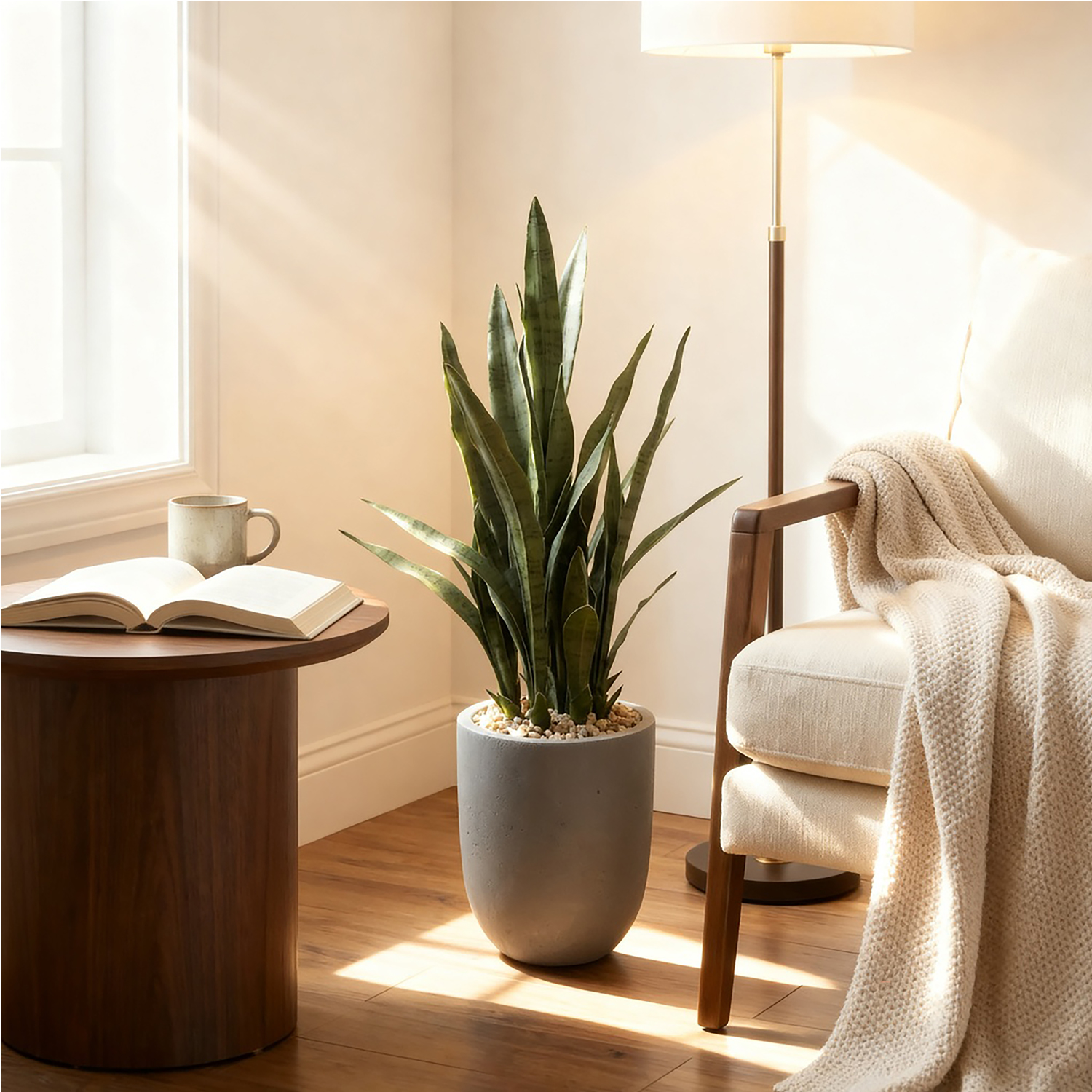 Sansevieria Plant in Campbell Planter – 319109|D&W Silks