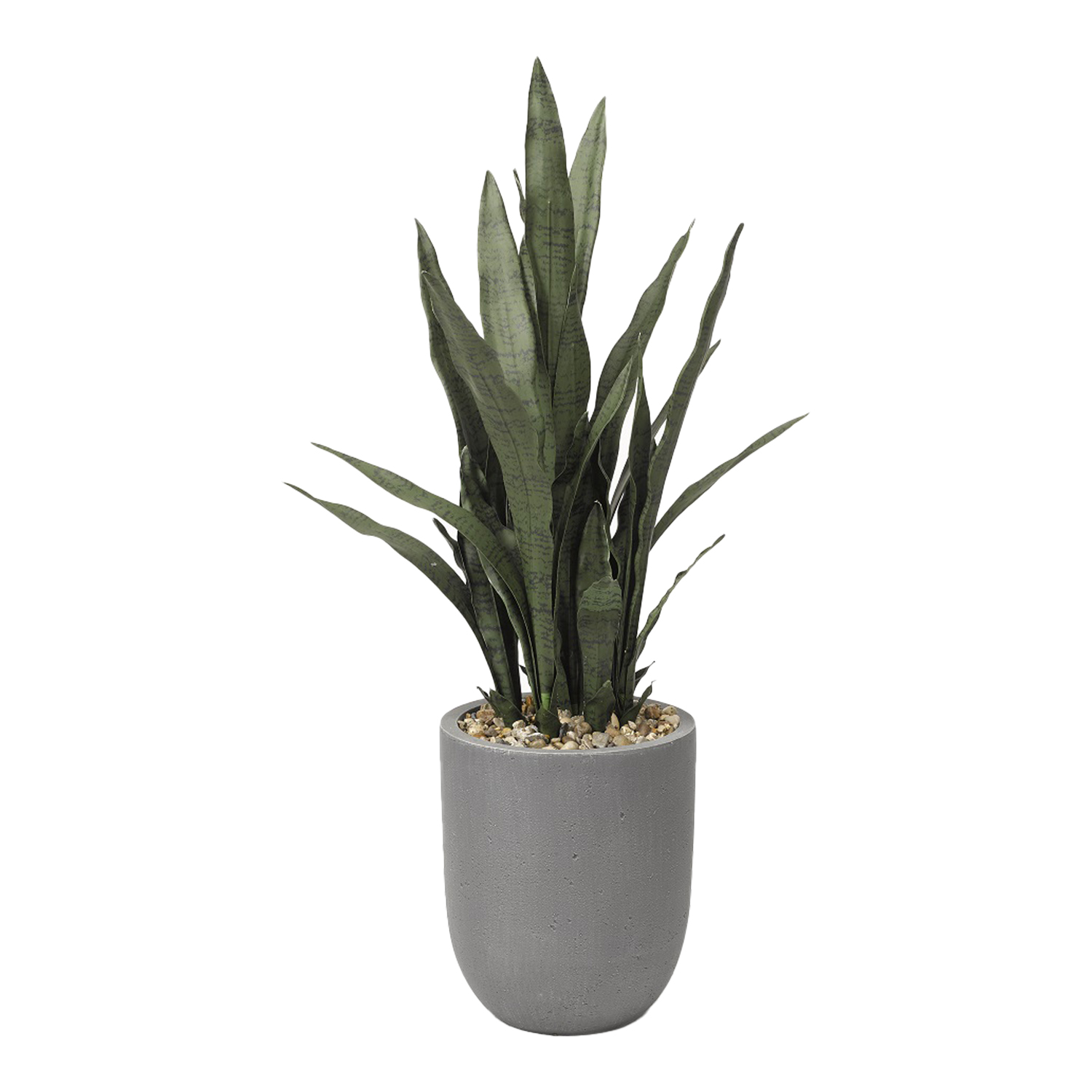 Valiem Willing plant別注S size 2set Sansevieria Plant in Campbell Planter – 319109|D&W Silks