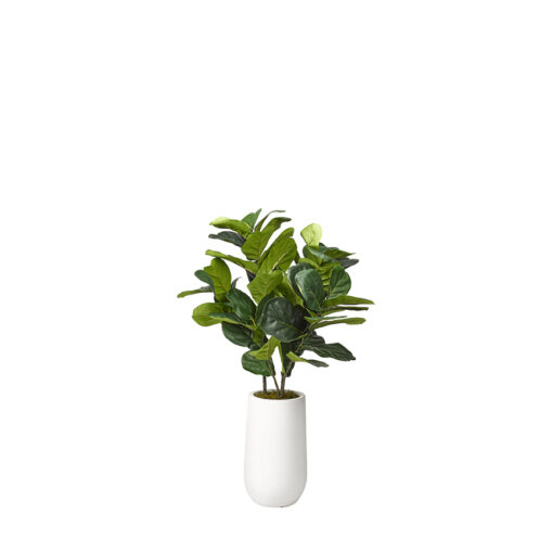 Natural Touch Fiddle Leaf Fig Plant in Quinn Planter 4' - 319111
