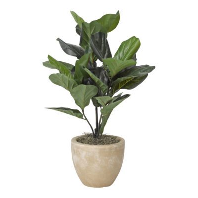 Natural Touch Fiddle Leaf Fig Plant in Grove Planter - 319112