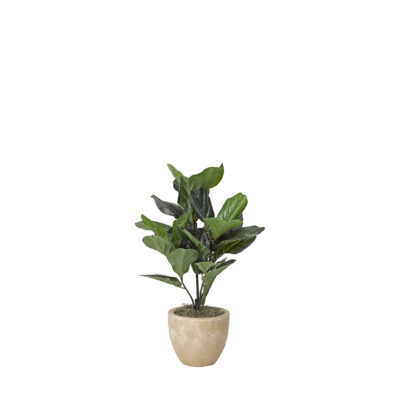 Natural Touch Fiddle Leaf Fig Plant in Grove Planter - 319112