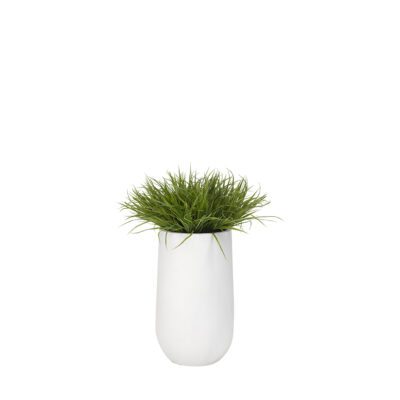 Wild Grass in Quinn Planter - 319122