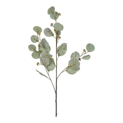 Eucalyptus Spray - GR2031