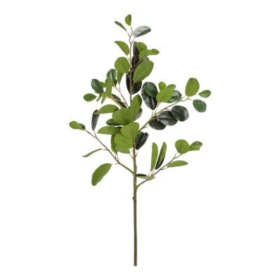 Oriental Ficus Branch - GR2049