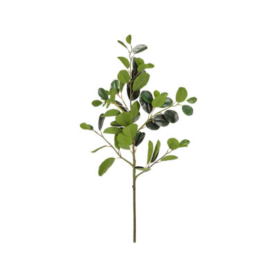 Oriental Ficus Branch - GR2049