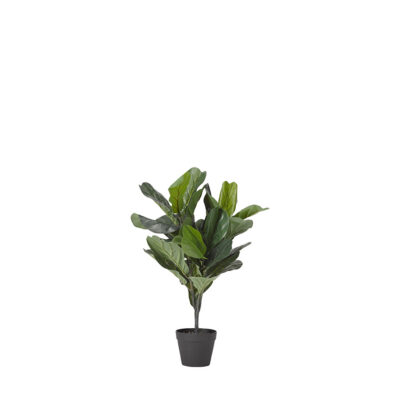 Real Touch Fiddle Leaf Fig Plant - TL822