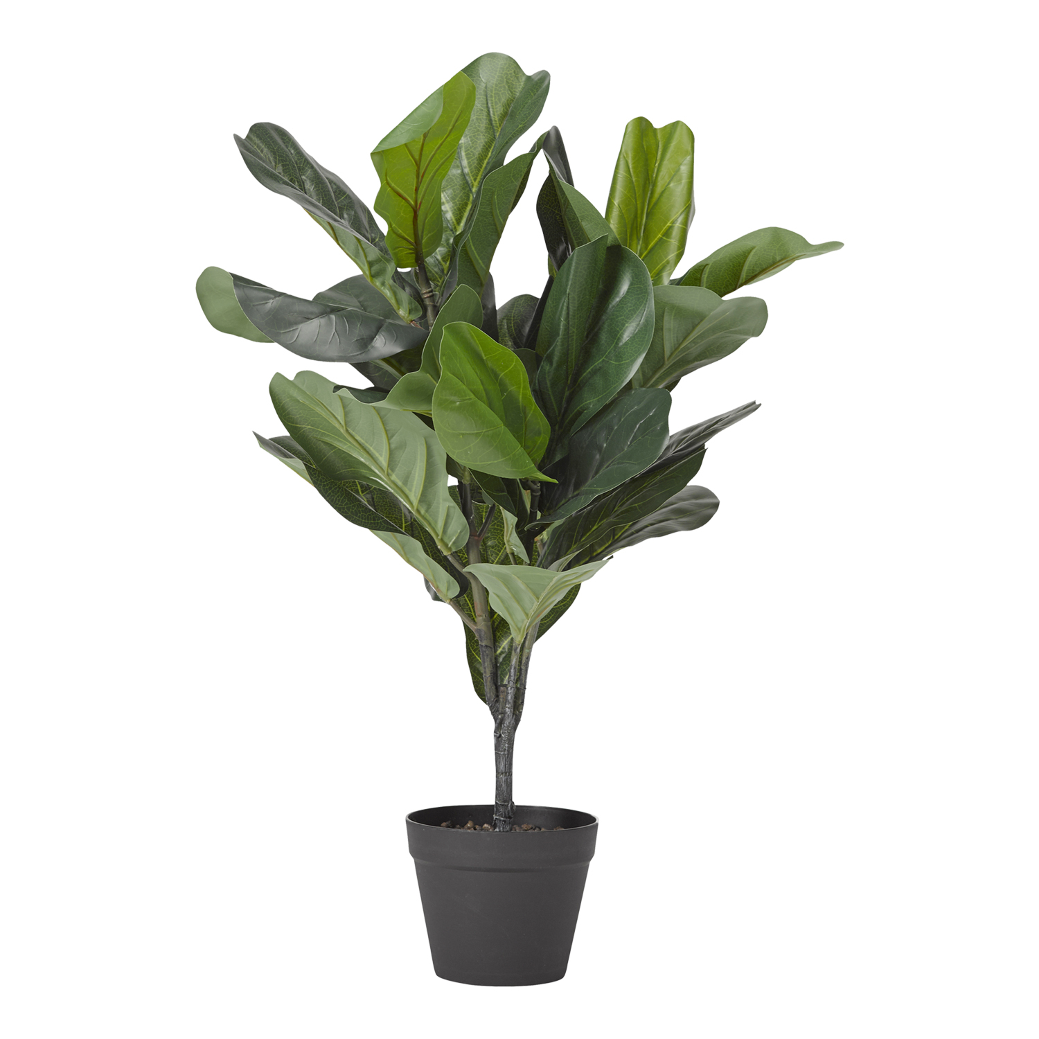 Real Touch Fiddle Leaf Fig Plant - TL822