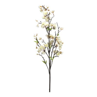 Cherry Blossom Branch - FL2416