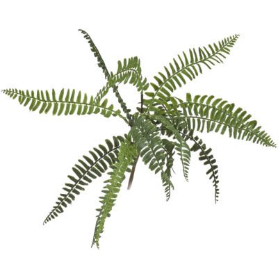 Boston Fern Spray - GR1982