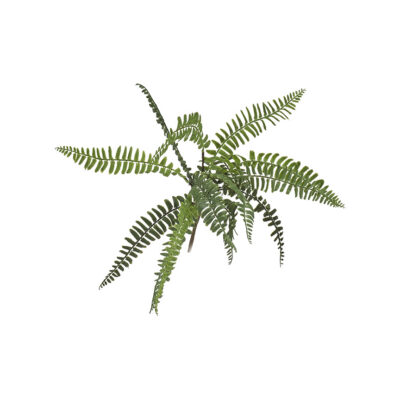 Boston Fern Spray - GR1982
