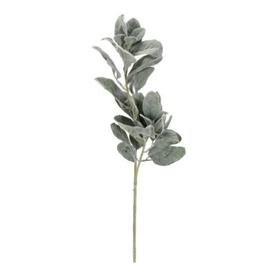Lamb's Ear Branch - GR2030