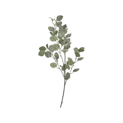 Green/Grey Silver Dollar Branch - GR2057