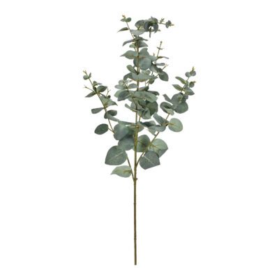 Eucalyptus Spray - GR2068
