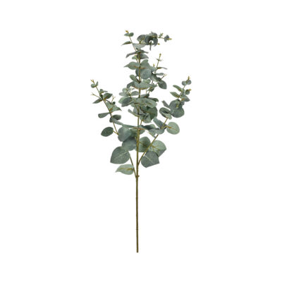 Eucalyptus Spray - GR2068