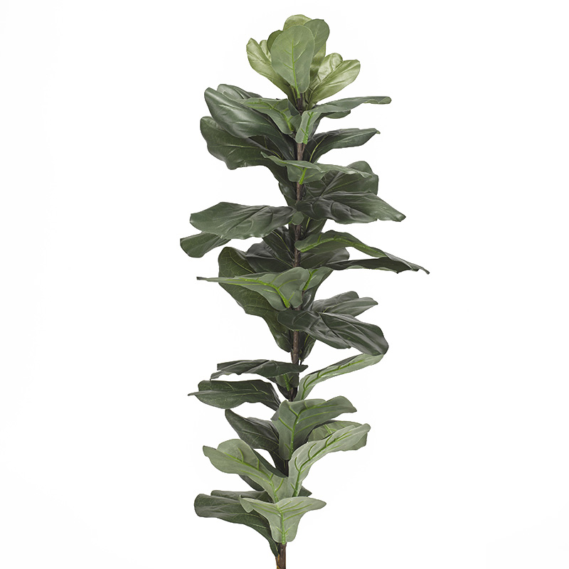 Medium Fiddle Leaf Fig Stalk - TL837