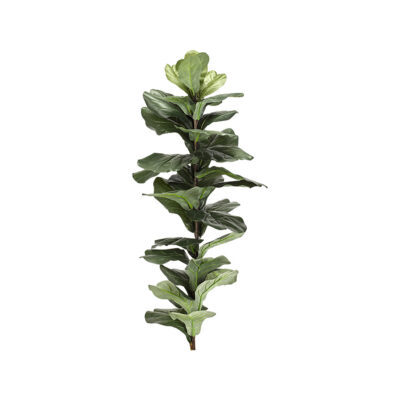 Medium Fiddle Leaf Fig Stalk - TL837