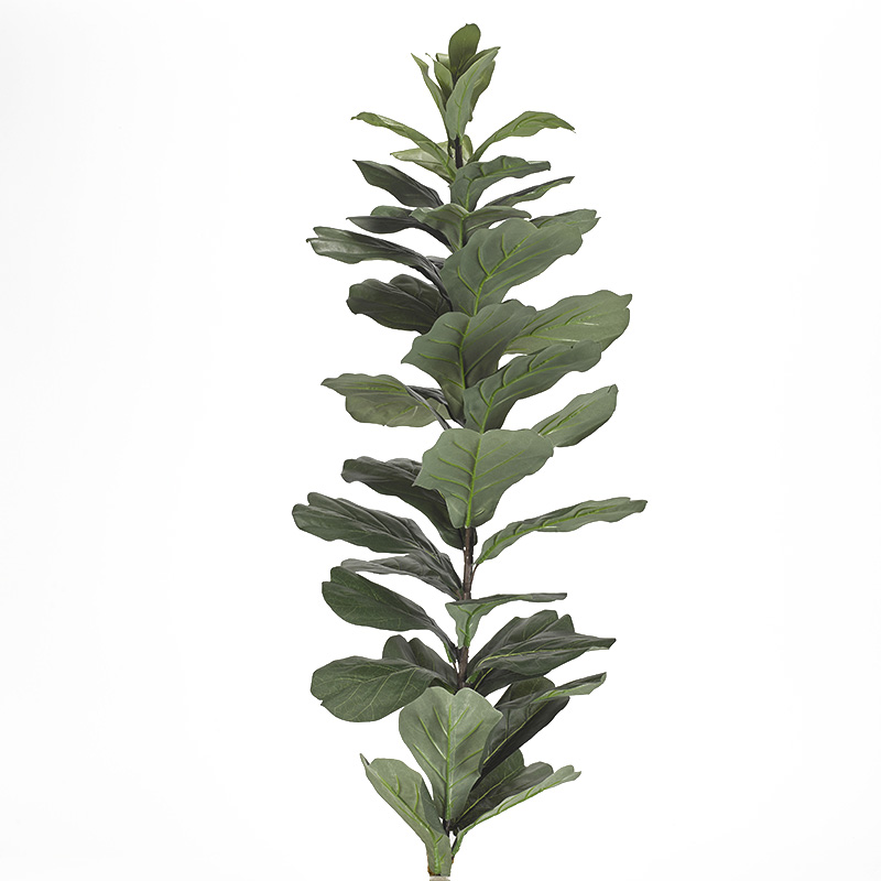 Large Fiddle Leaf Fig Stalk - TL838