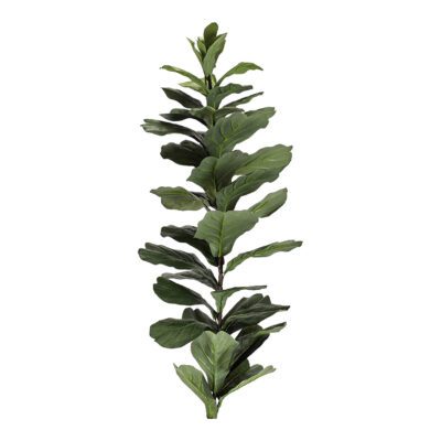 Large Fiddle Leaf Fig Stalk - TL838